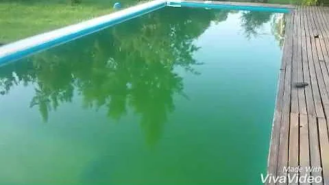 ¿Cómo se limpia una piscina verde de la noche a la mañana?