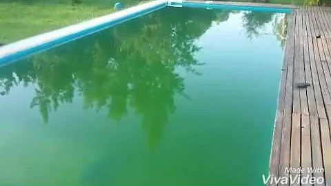 ¿Cómo se vuelve verde una piscina de la noche a la mañana?