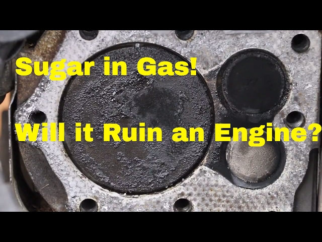 What To Put in Gas Tank To Ruin Engine? Welcome to the Madness!