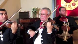 Video thumbnail of "Hermoso Cariño- Mariachi Alma Mexicana de Houston"