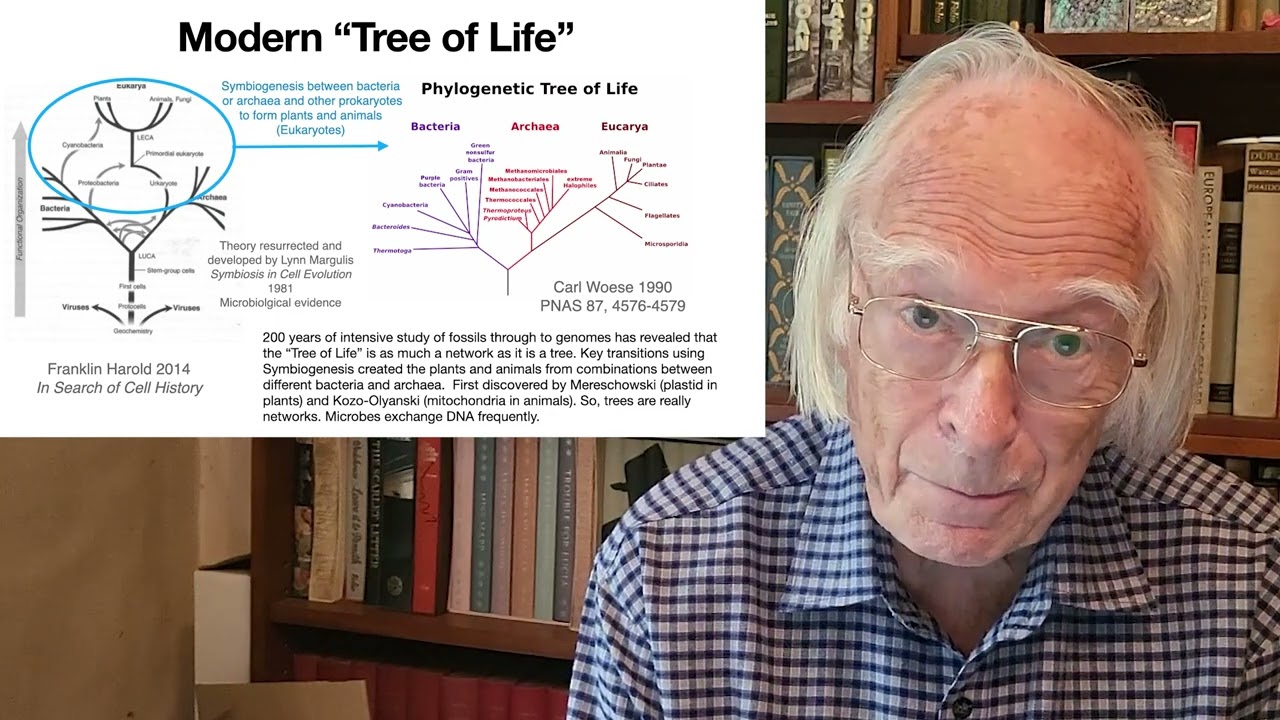 Fusion of organisms was the greatest transition in evolution