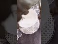 Посуда Charles