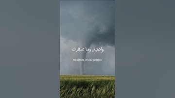 ما تيسر من سورة النحل بصوت القارئ فارس عباد ❤️