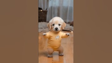 Dancing Puppy Deli 🐶😂 Cute Dog Shows Off Dance Moves