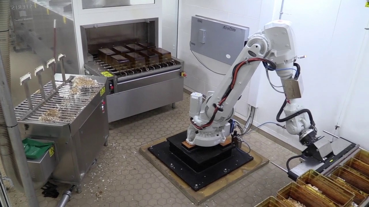 animal experiments pros and cons Cage cleaning robot