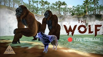 🔴 LIVE | COOP & PVP DOMINATION | HIM THE GOD | THE WOLF ONLINE RPG ANIMAL SIMULATOR GAME 