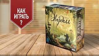 ЭВЕРДЕЛЛ: Как играть в настольную игру?