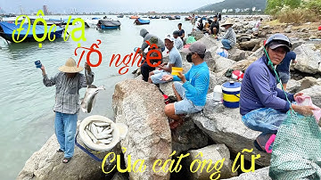 Nghề Câu Cá Đối Bằng Chai Nhựa 