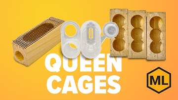 Beekeeping Essentials – How to Use Queen Cages Effectively