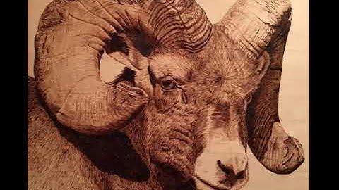 Julie Bender spring 2019 workshop promotion