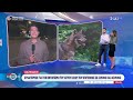 Χαλκιδική: Συναγερμός για τον εντοπισμό του άγριου ζώου που επιτέθηκε σε 2χρονο και 46χρονο