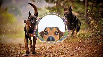 Spring In My Step - Silent Partner  by Rockstarmusic 🐶[FREE COPYRIGHT]🐶