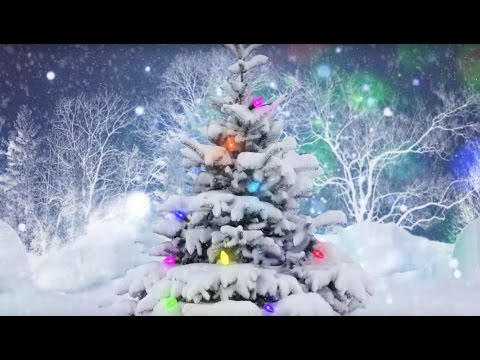 Video: Colinde De Crăciun - Ce Sărbătoare