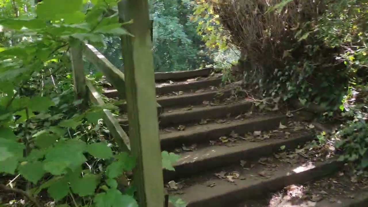 4K-HiRes🚶Trans Pennine Way from A56 near M6 to Thelwall🚶05/09/23