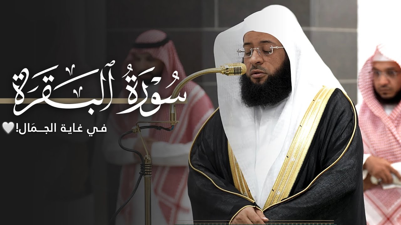 تلاوة في غاية الجمَال من سورة البقرة للشيخ بدر التركي | فجر الثلاثاء 22-11-1446هـ