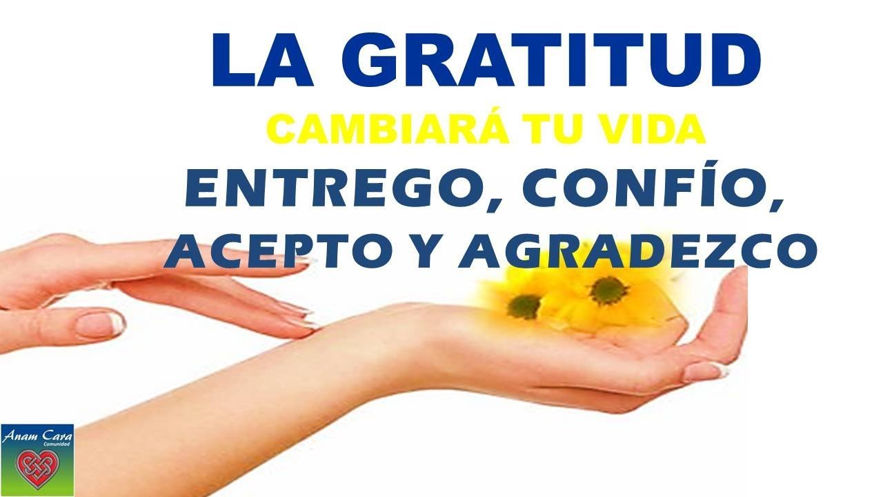 GRATITUD a la VIDA POR ESTE MOMENTO 🌈(Afirmaciones Positivas para ...