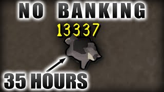 Catching 13,337 Black Chins WITHOUT BANKING