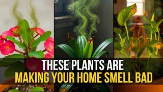 7 Plants That Can Make Your Home Smell Bad (Without You Knowing)