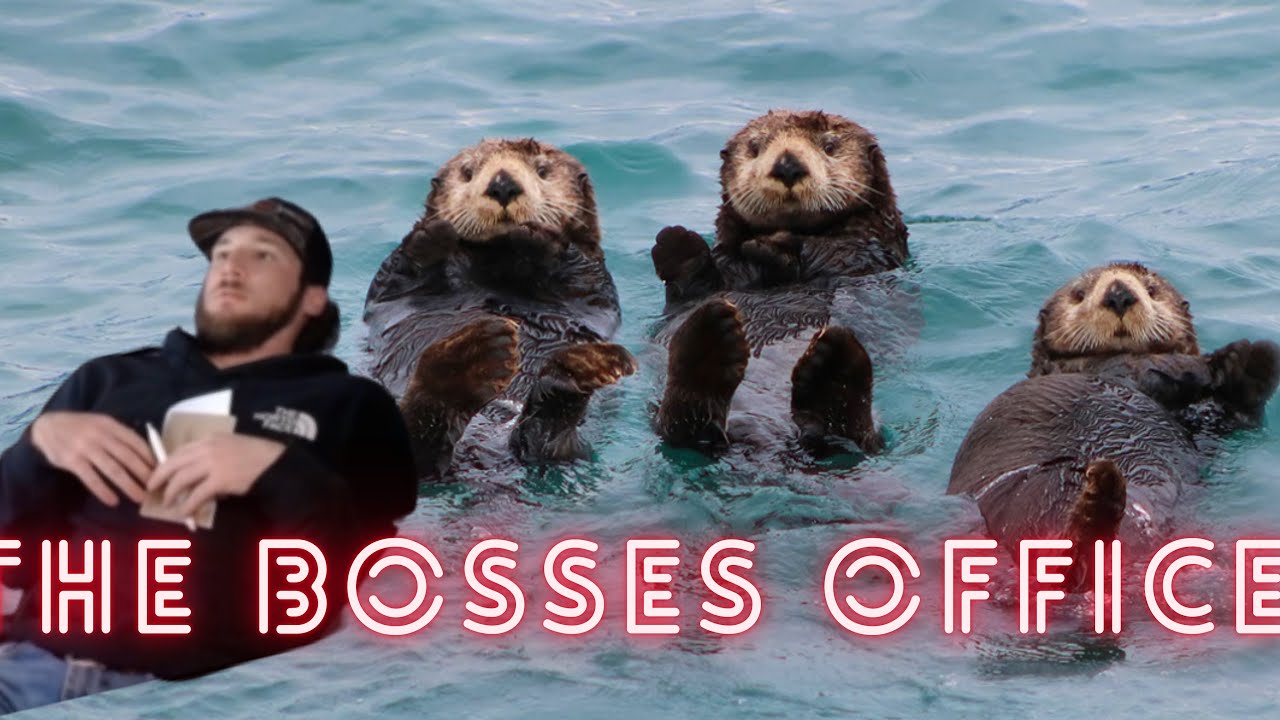 Semi aquatic mammals || The Bosses Office CLIPS