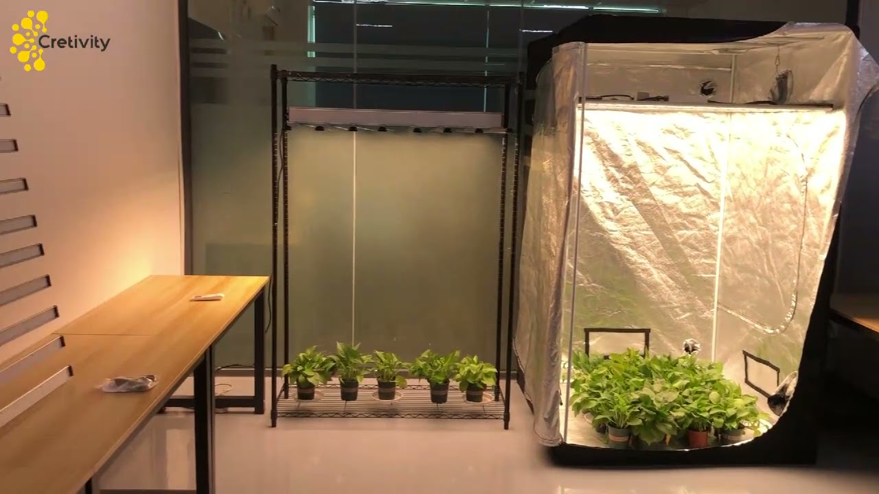 Full Spectrum LED Grow Light