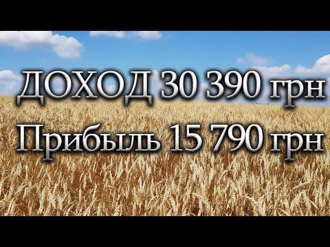 Вложил 1грн. получил 2 грн. Бизнес💰: выращивание пшеницы фермером с нуля⭕️ Это вообще законно???