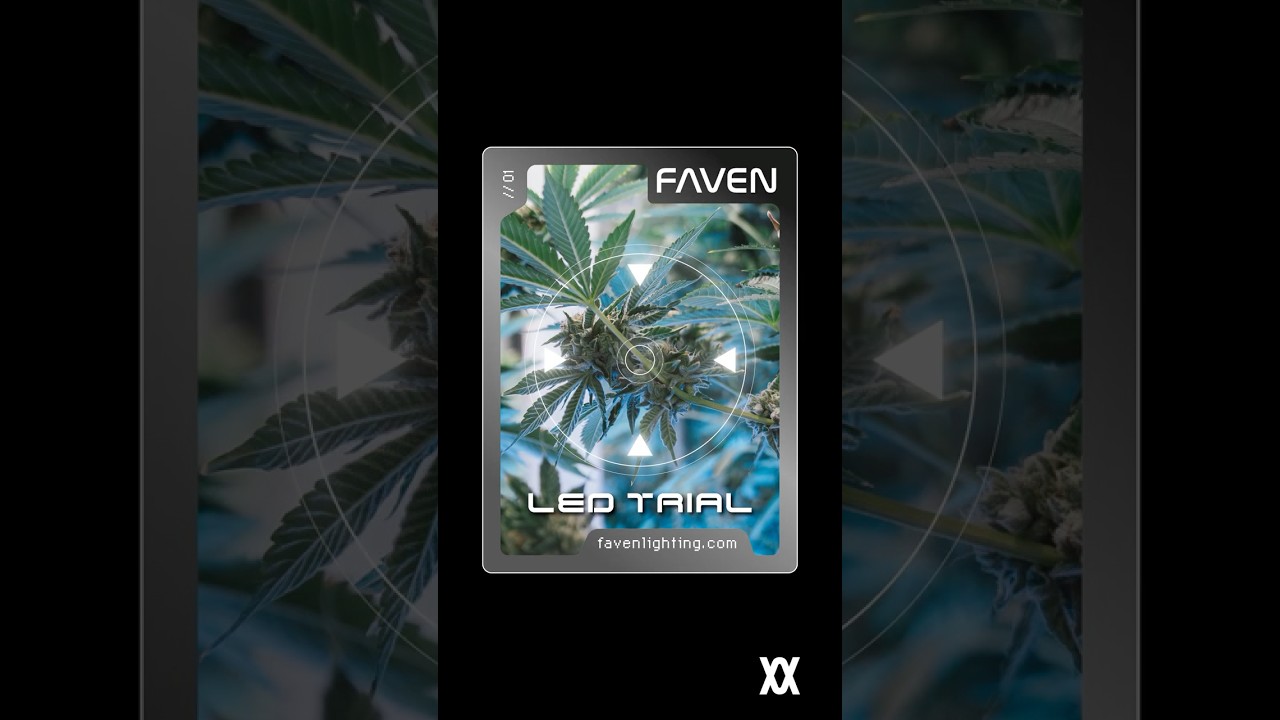 Только светодиодное освещение! — В этом гроуруме для исследований и разработок используются тольк...