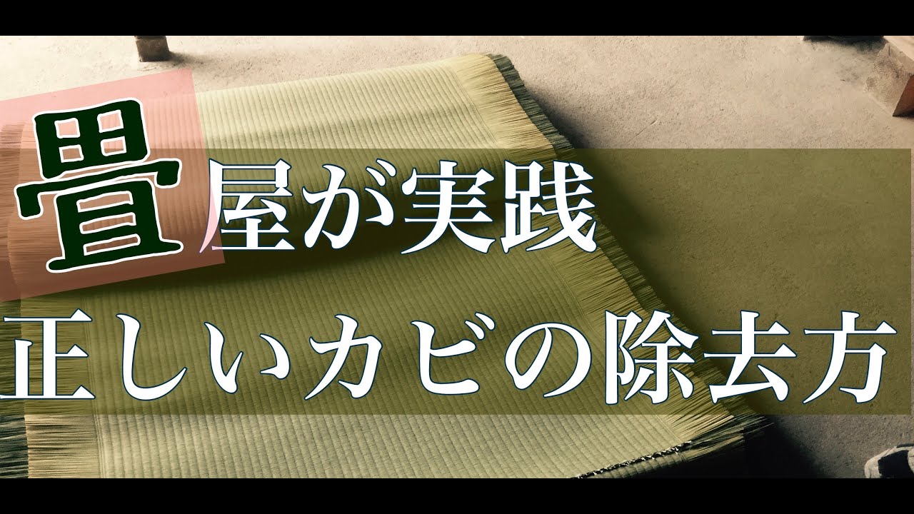 畳のカビ取り 畳にカビが生えたときの正しいお掃除方 実践編 現役畳屋が実際にカビ取りをやっている動画です Youtube 畳のカビ取り 畳にカビが生えたときの正しいお掃除方 実践編 現役畳屋が実際にカビ取りをやっている動画です Youtube