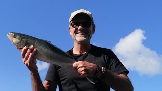 Best New Zealand wharf fishing spot? Let's find out.