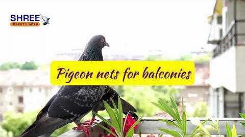 Pigeon Nets for Balconies in Chennai
