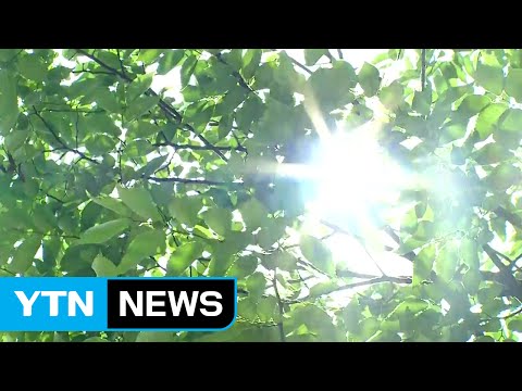 [날씨] 전국 무더위, 남부 소나기...장마는 언제? / YTN (Yes! Top News)