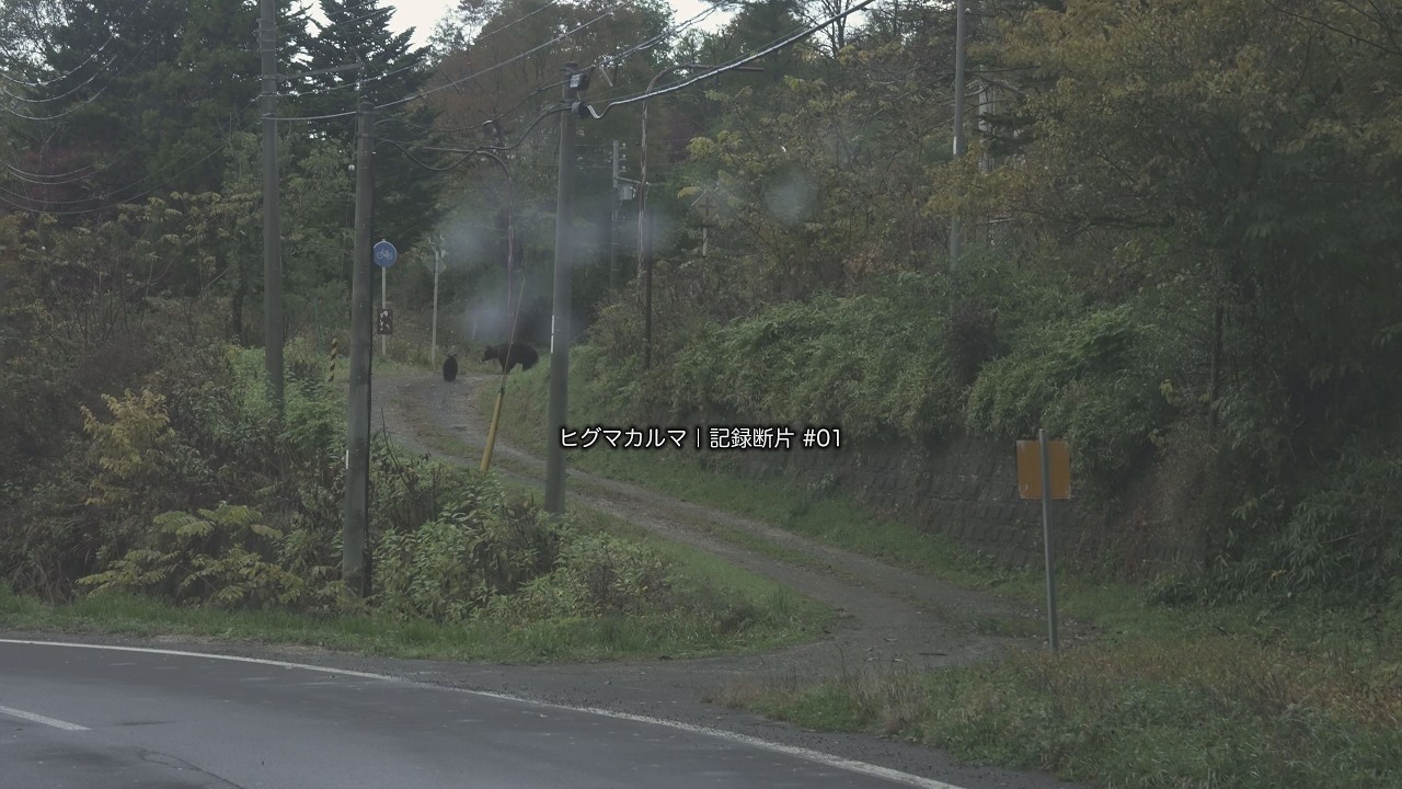 ヒグマカルマ｜記録断片 #01