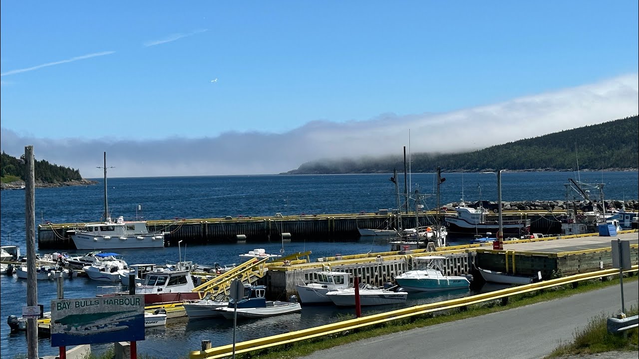 O’Brien’s boat tours Bay Bulls NL YouTube