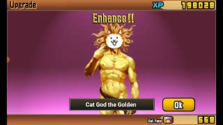 Evolving Cat God into Cat God the Golden