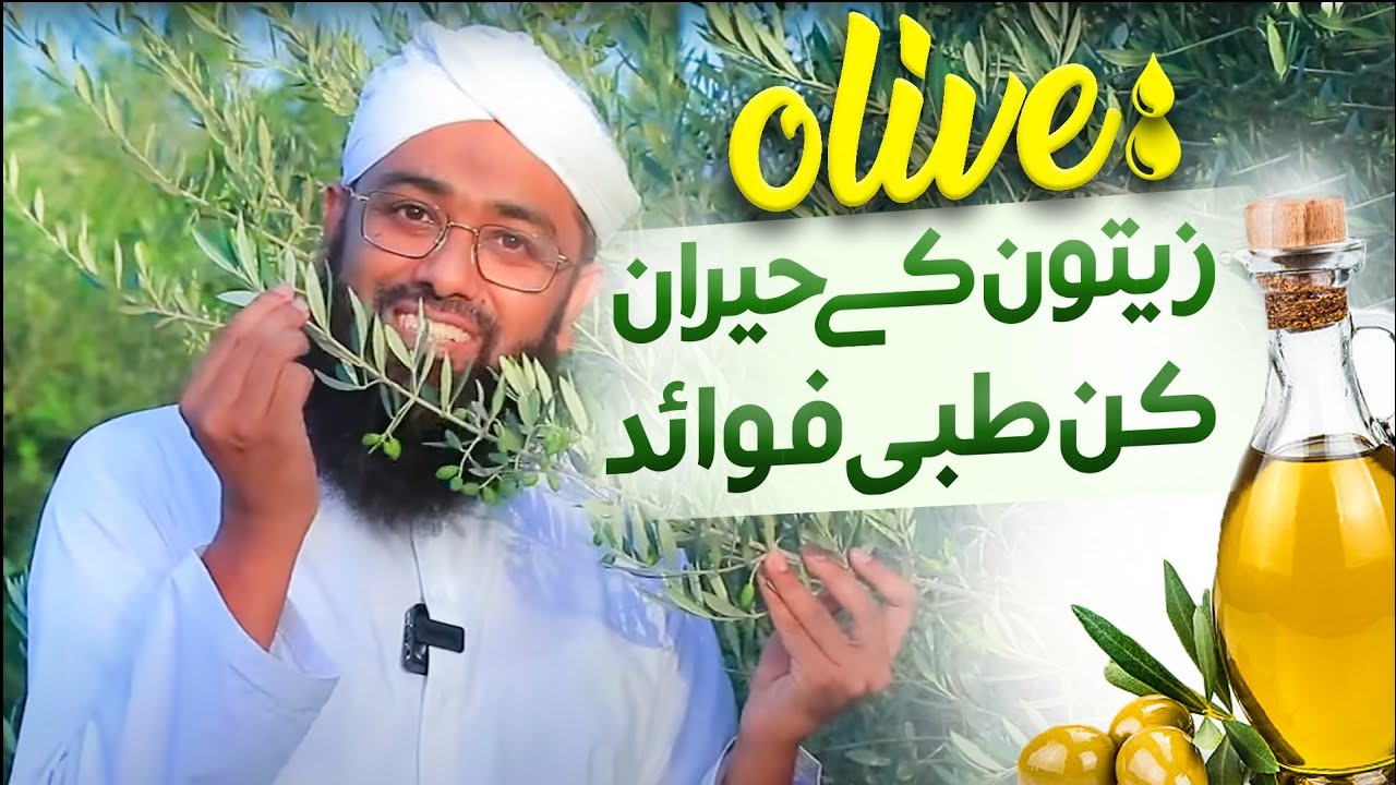 Zaitoon Ke Fayde | Health Benefits of Olive Oil | Zaitoon Ka Tail ...