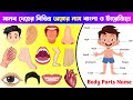 মানব দেহের বিভিন্ন অঙ্গের নাম 👁👃👂👄🦵💪| My Body Parts | Kids Learn Body Parts in Bengali &amp; English