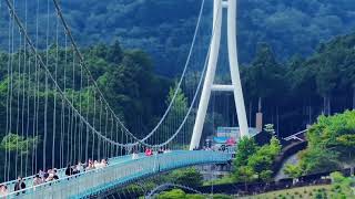 🌉 Mishima Skywalk | Japan’s Longest Suspension Bridge | Stunning Views 🇯🇵✨