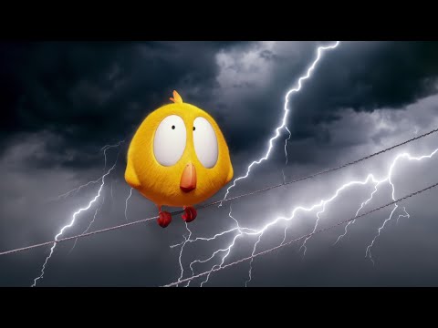 Где Чики? 🐥 Chicky НОВАЯ СЕРИЯ! | Буря 🌪️ Сборник мультфильмов на русском языке