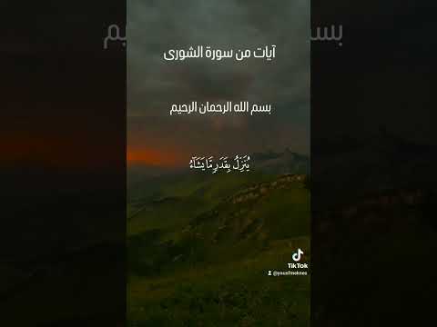 آيات من سورة الشورى الحمدلله والشكر لله على ان الله هوا اللذي يرزقنا ويهدينا ويشفينا ويرحمنا برحمته