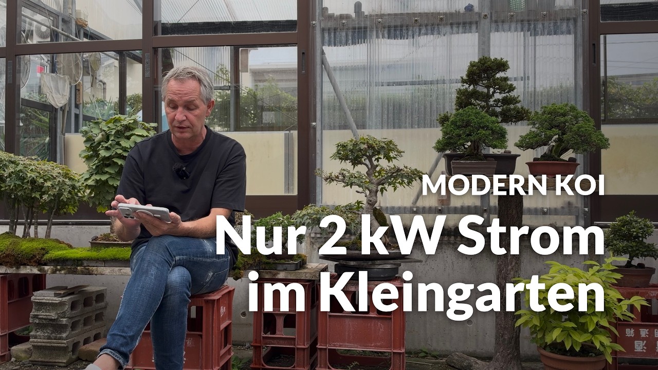 Wie kann ich Koi ohne Heizung überwintern ? | Modern Koi Blog #8426