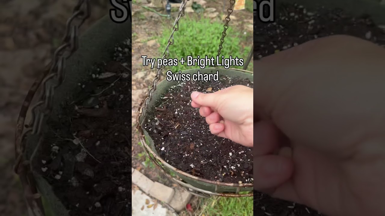 Uploads from From Seed to Spoon Garden Planning App