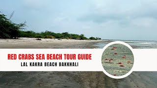 Red Crabs Sea Beach Tour Guide Lal Kakra Beach Bakkhali