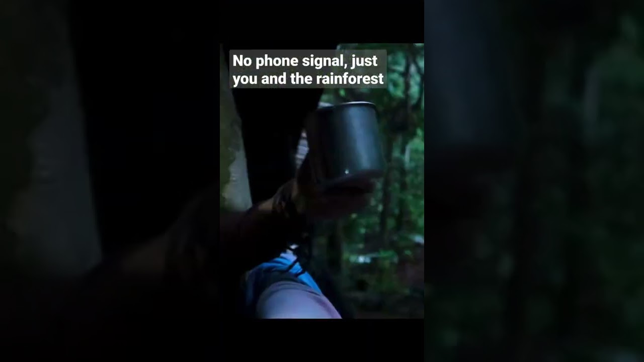 Camping in the middle of the Sumatran rainforest | Indonesia #TravelShorts