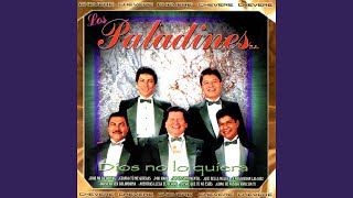 Video thumbnail of "Los Paladines S.A. - Cómo He Podido Vivir Sin Ti"