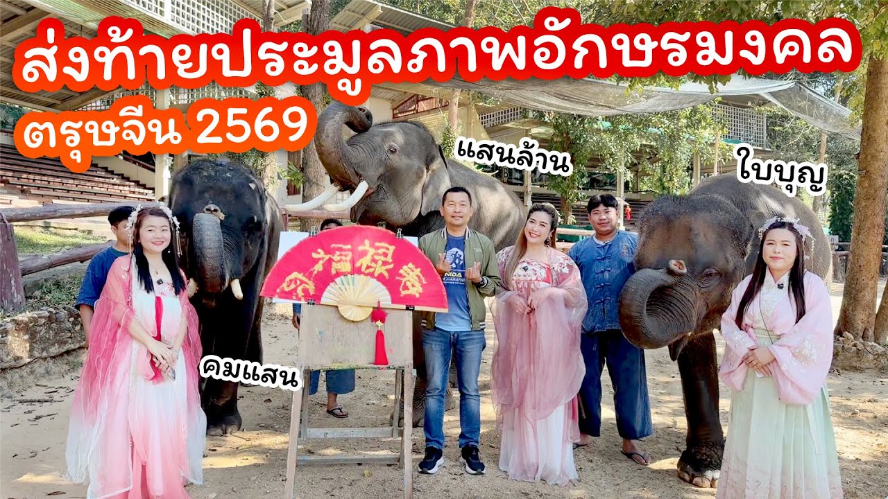 Special LIVE ประมูลงานวาดอักษรมงคลภาษาจีน โดยใบบุญ คมแสน แสนล้าน ต้อนรับตรุษจีน 7 ก.พ. 2569
