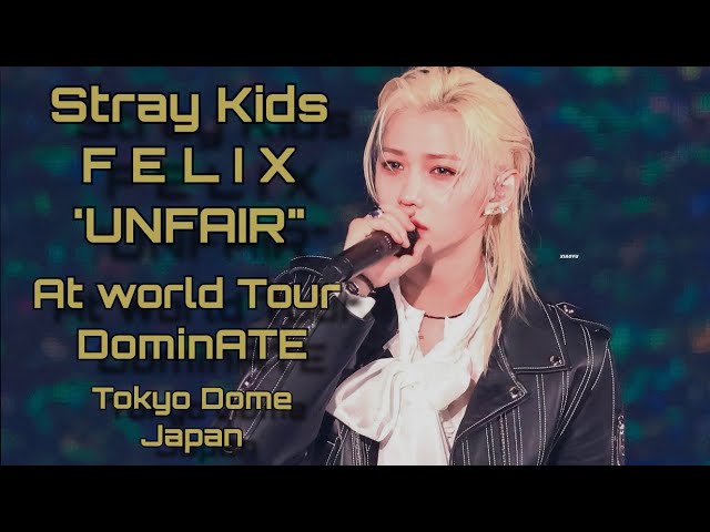 straykids dominate モバイルバッテリー　フィリックス 🖤🖤🖤 dominATE Hong Kong ❤️‍🔥 Cr slides 1-4 MiNiHyunee_