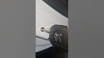 Peugeot Door Child Lock 