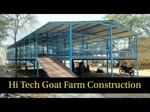 Goat Farm Shed Construction in Detail Best Goat Farm 