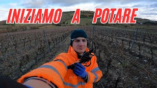 COME POTARE UNA VITE A GUYOT   |  METODO SIMONIT