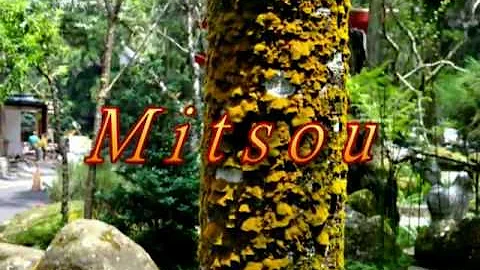 Chris Bruhn (Germany) - Mitsou