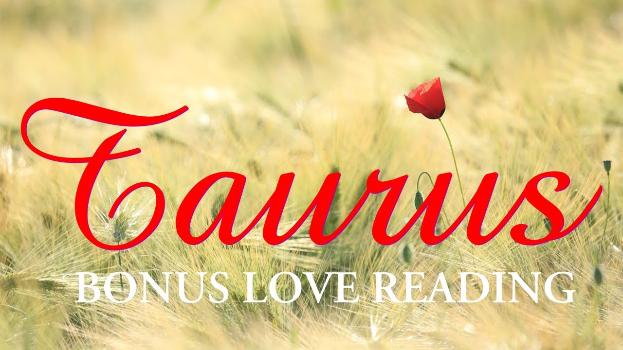 TAURUS tarot love ♉️ This Stubborn Person Wants You But You Have Your Guard Up, Expect Improvement